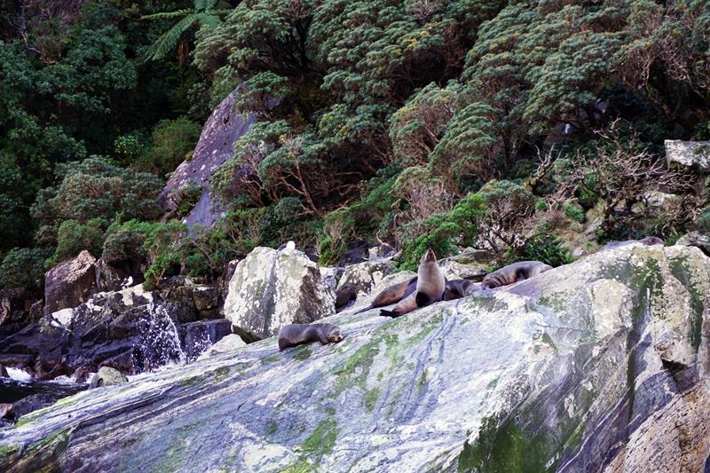 Seal Rock