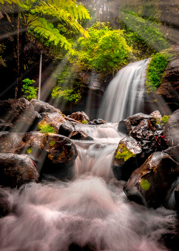 Serenity Falls Sun Rays