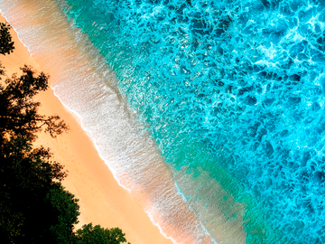 Anse Intendance