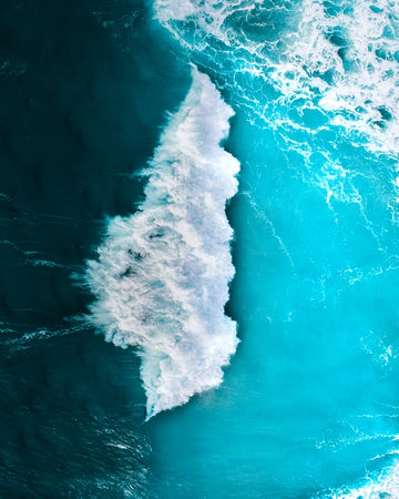 Shade of the Sea