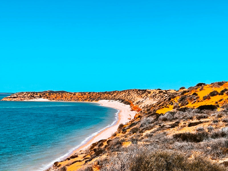 Shark Bay 2