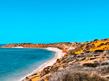 Shark Bay 2