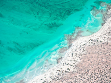Shark Bay creation