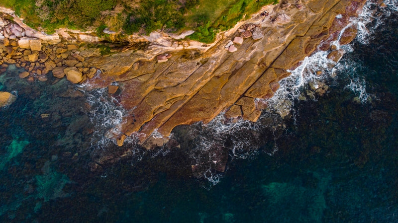 Shark Island Point