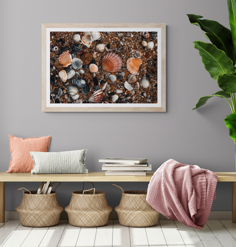 Rainbow of Shells