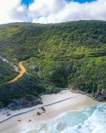 Shelly Beach - Albany