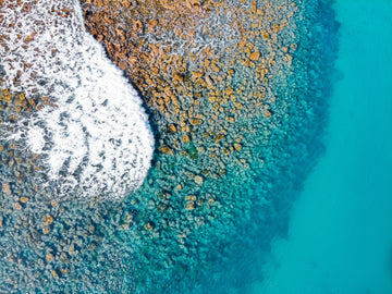 Shelly Beach Wave