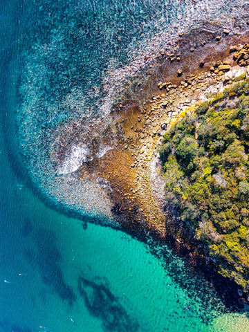 Shelly Beach
