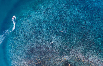 Shelly Beach