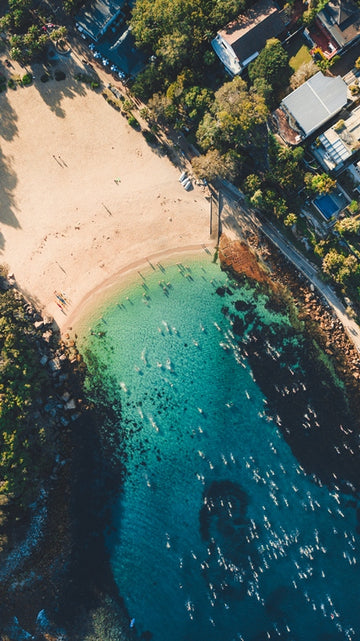 Shelly Swimmers