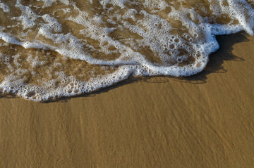 Shoreline