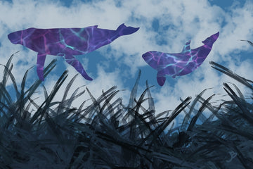 Sky Whales