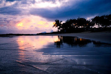 Snapper Sunrise