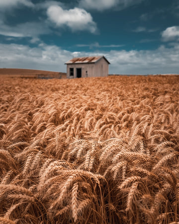Soft fields