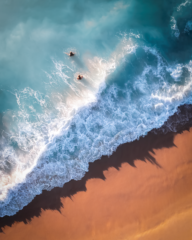 Sounds of the Sea