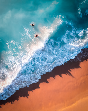 Sounds of the Sea