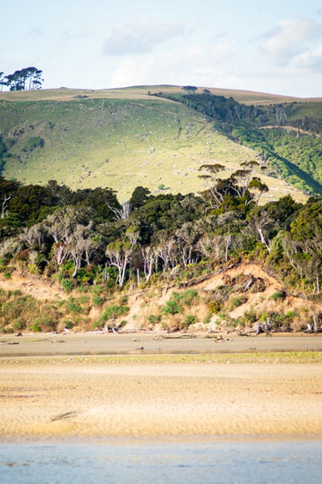 South Island 2