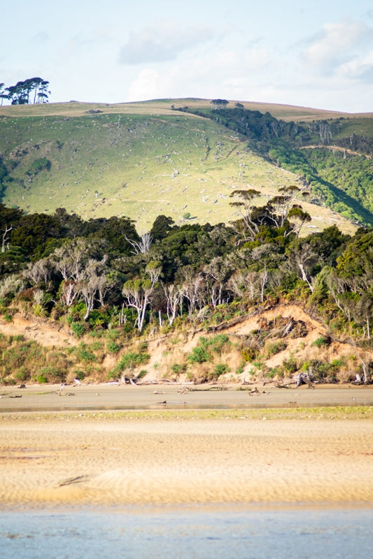 South Island 2
