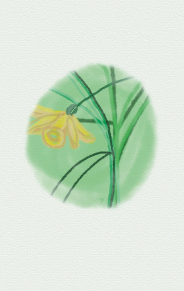 Spring Daffodil