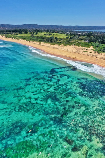 Spring Vibes at North Shelly Beach