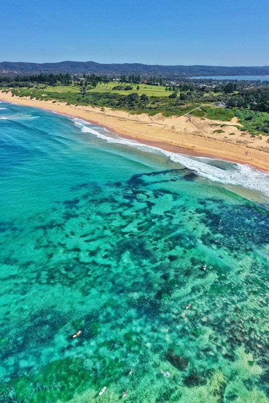 Spring Vibes at North Shelly Beach
