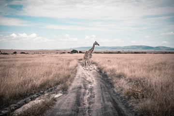 Stand tall