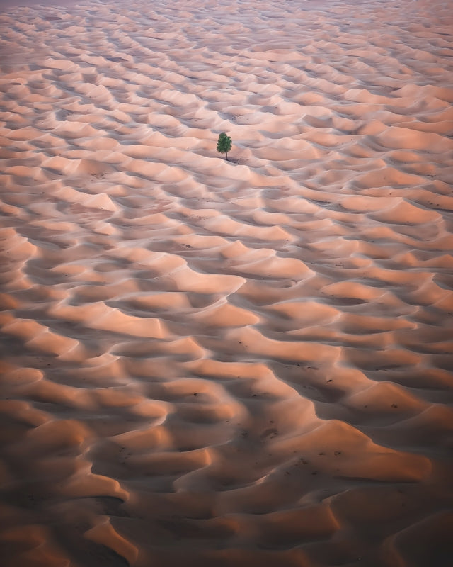 Stand Alone
