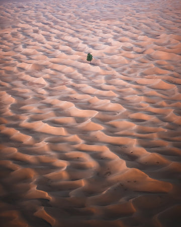 Stand Alone