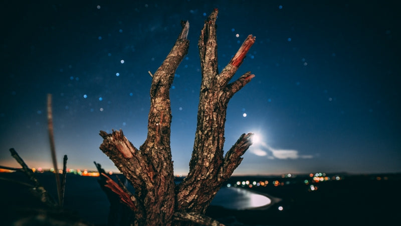 Star Gazing