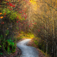 Arrowtown