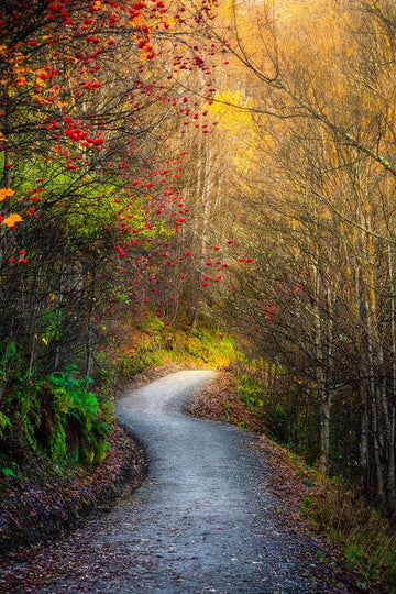 Arrowtown