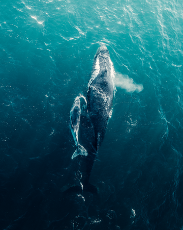 Sticking Together