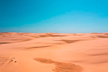 Stockton Dunes