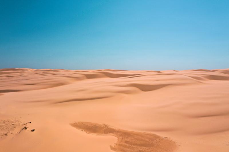 Stockton Dunes