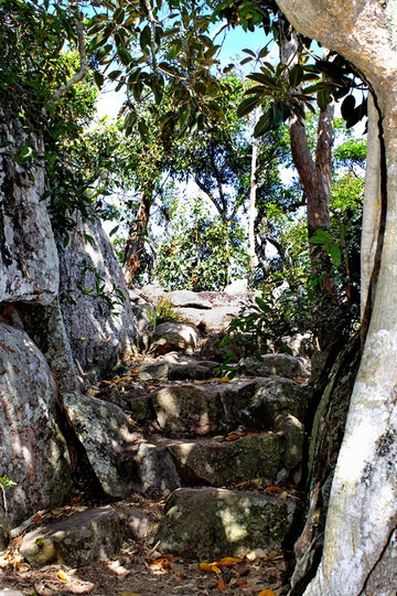 Stone Steps