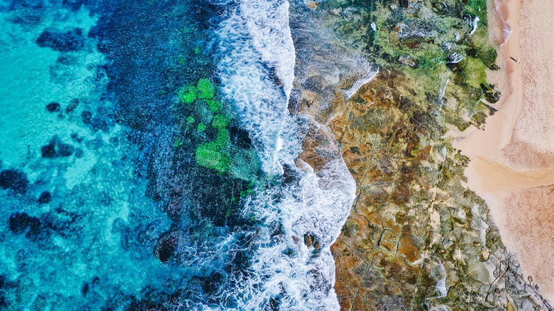 Stop And Smell The Ocean