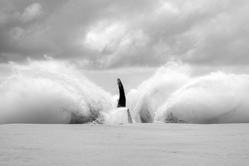 Storm