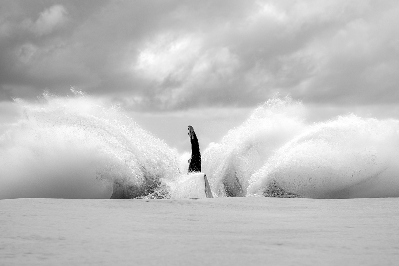 Storm