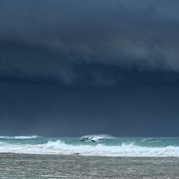 Stormy skies and playful dolphins