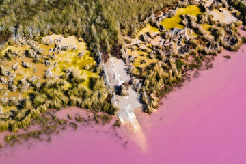 Strokable Scenery