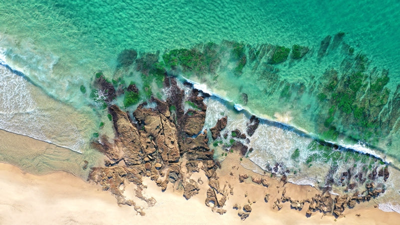 Summer Day at Catherine Hill Bay