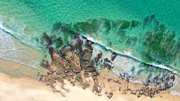 Summer Day at Catherine Hill Bay