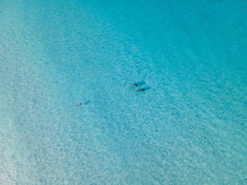 Summer Diving