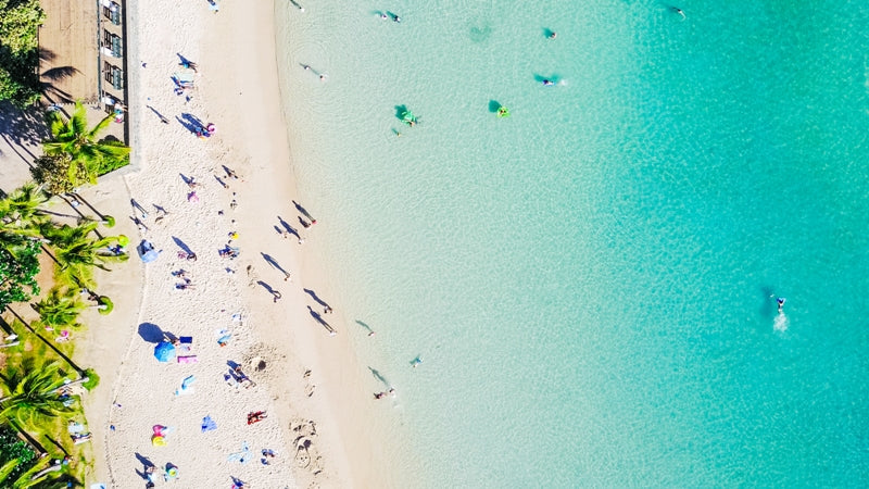 Summer Daze