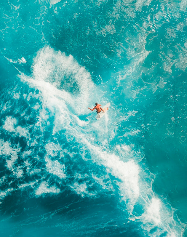 SunSurfer