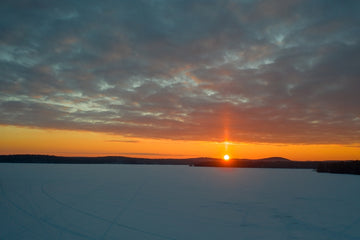 Sun in the Middle with You