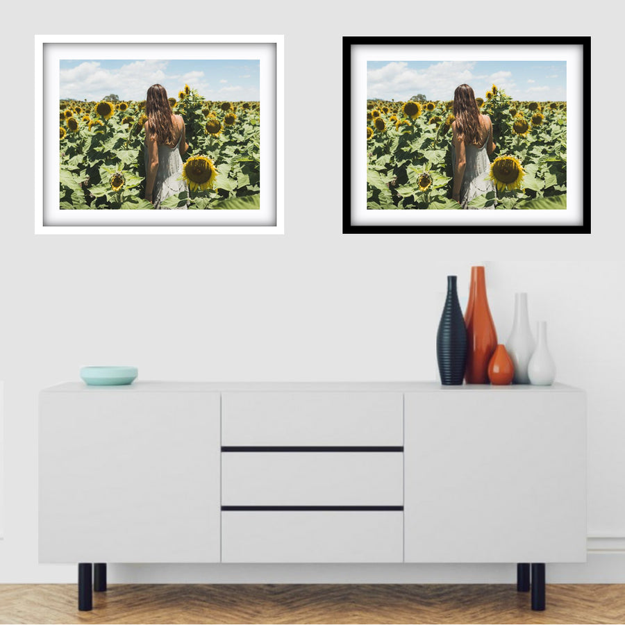 Sunflower Dream | New South Wales