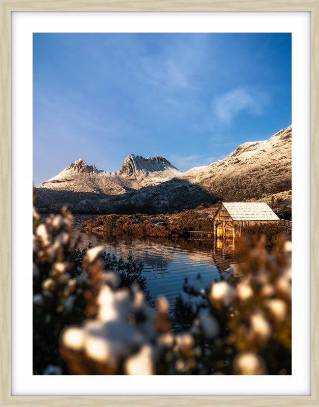 Sunrise at Cradle Mountain