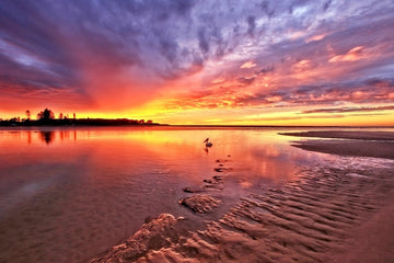 Sunrise State Of Mind