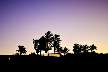 Sunset Silhouettes